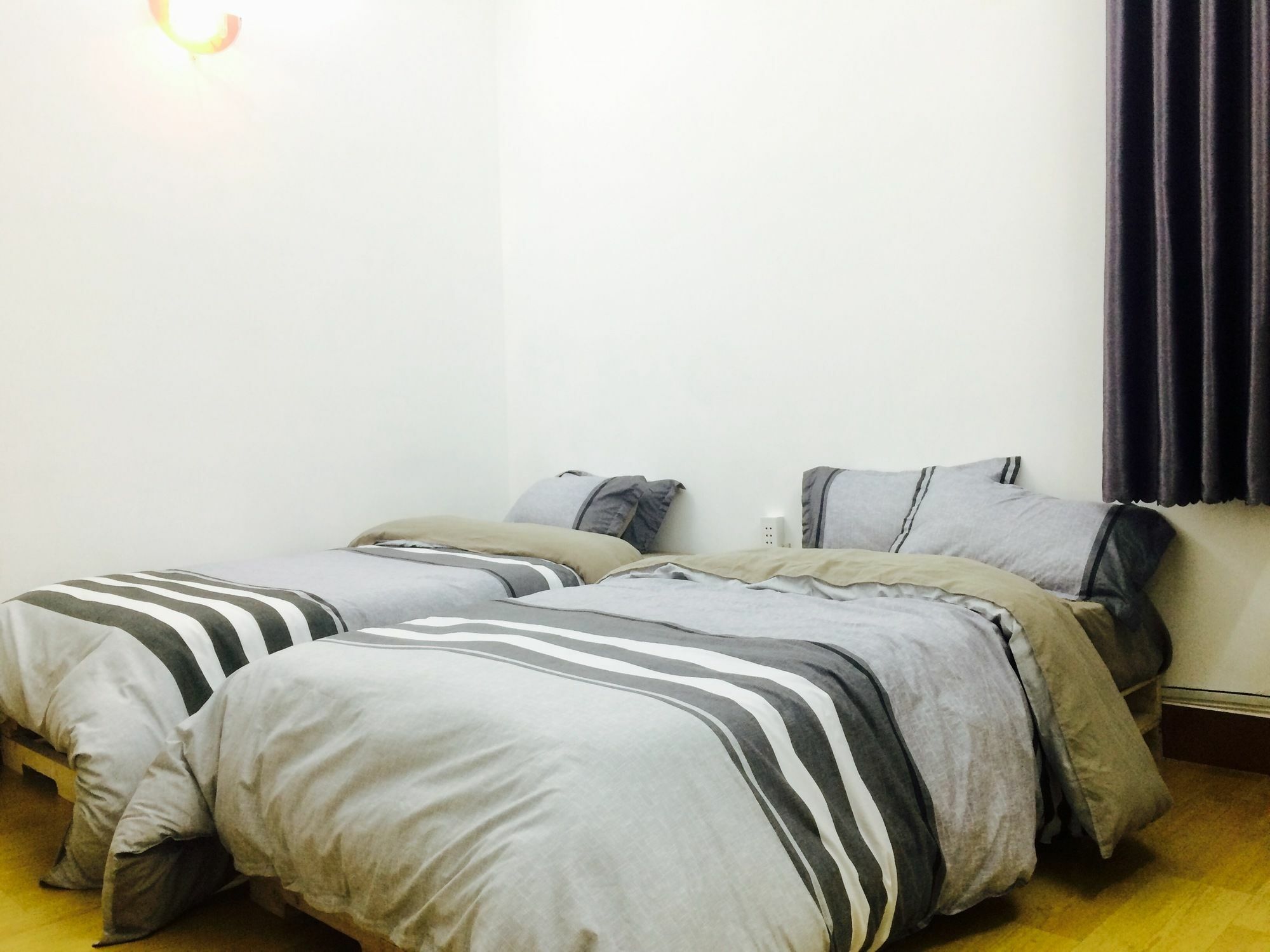 Condodo * TP. Hồ Chí Minh